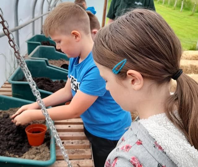 Two children in a polytunnel planting seeds in a tray